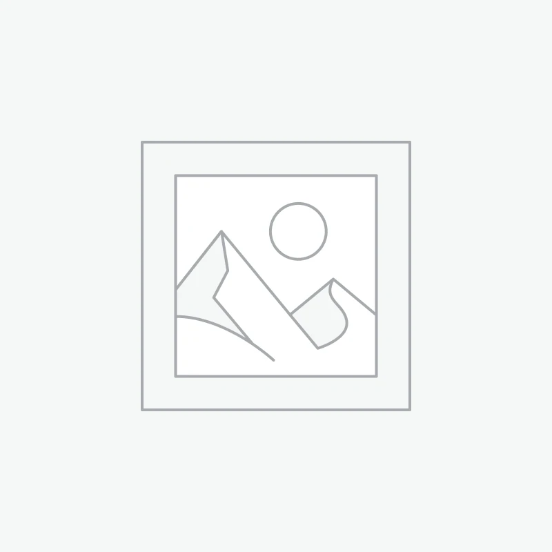 Ebay-Dreh/Kipp 2-Flügel
